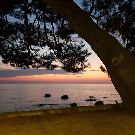 Spadici Mit 2 Schlafzimmern 300m Bis Zum *